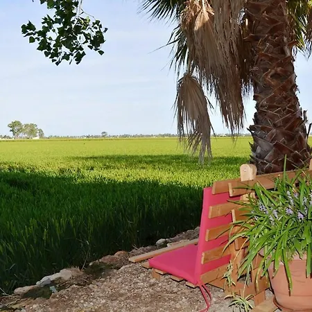 Holiday home Mas De Felip - Con Piscina Privada En El Delta - Deltavacaciones Deltebre