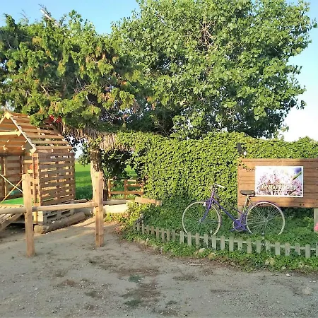 Mas De Felip - Con Piscina Privada En El Delta - Deltavacaciones * Deltebre